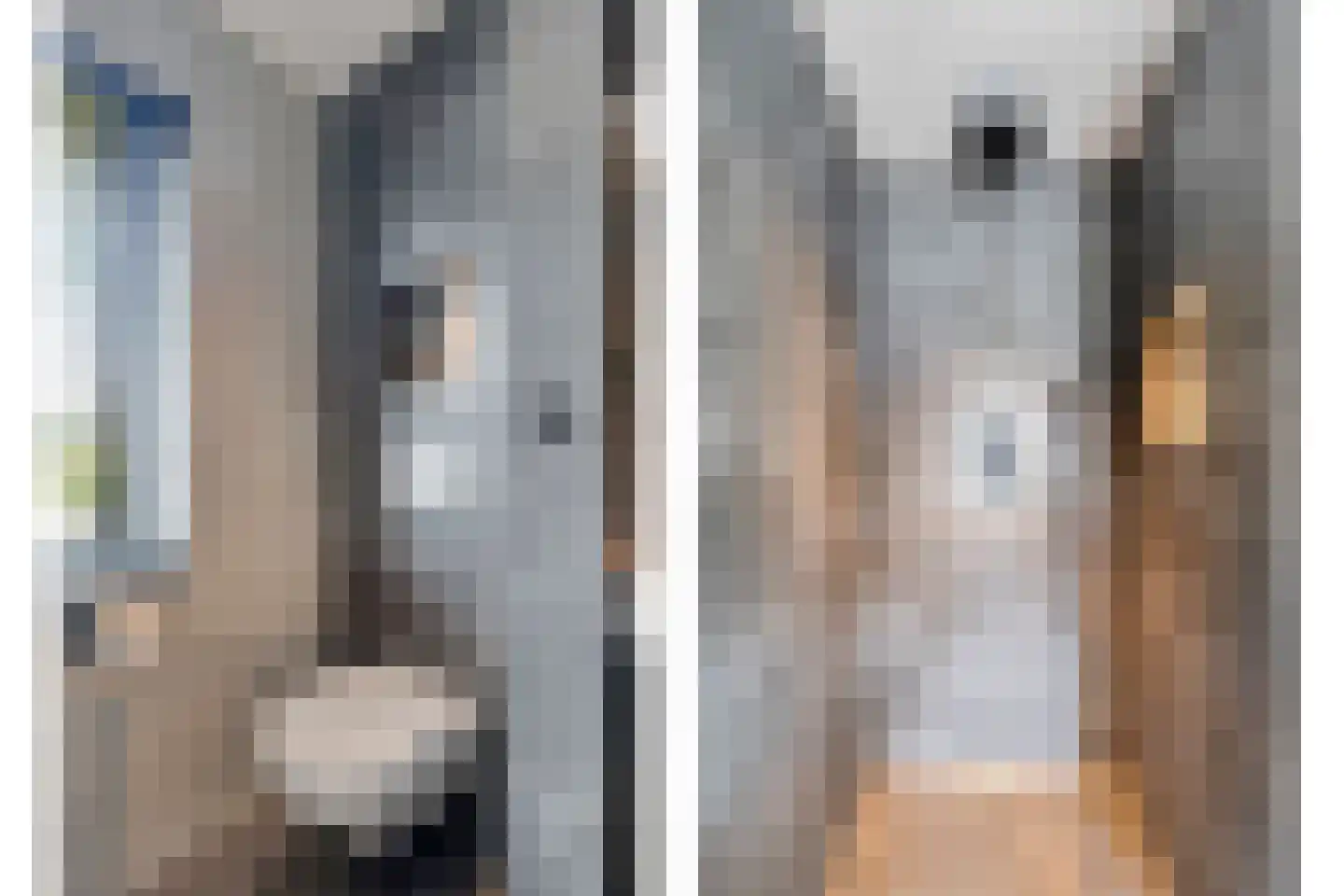 Hafkenscheidtlaan 36 De Zilk thumbnail 28