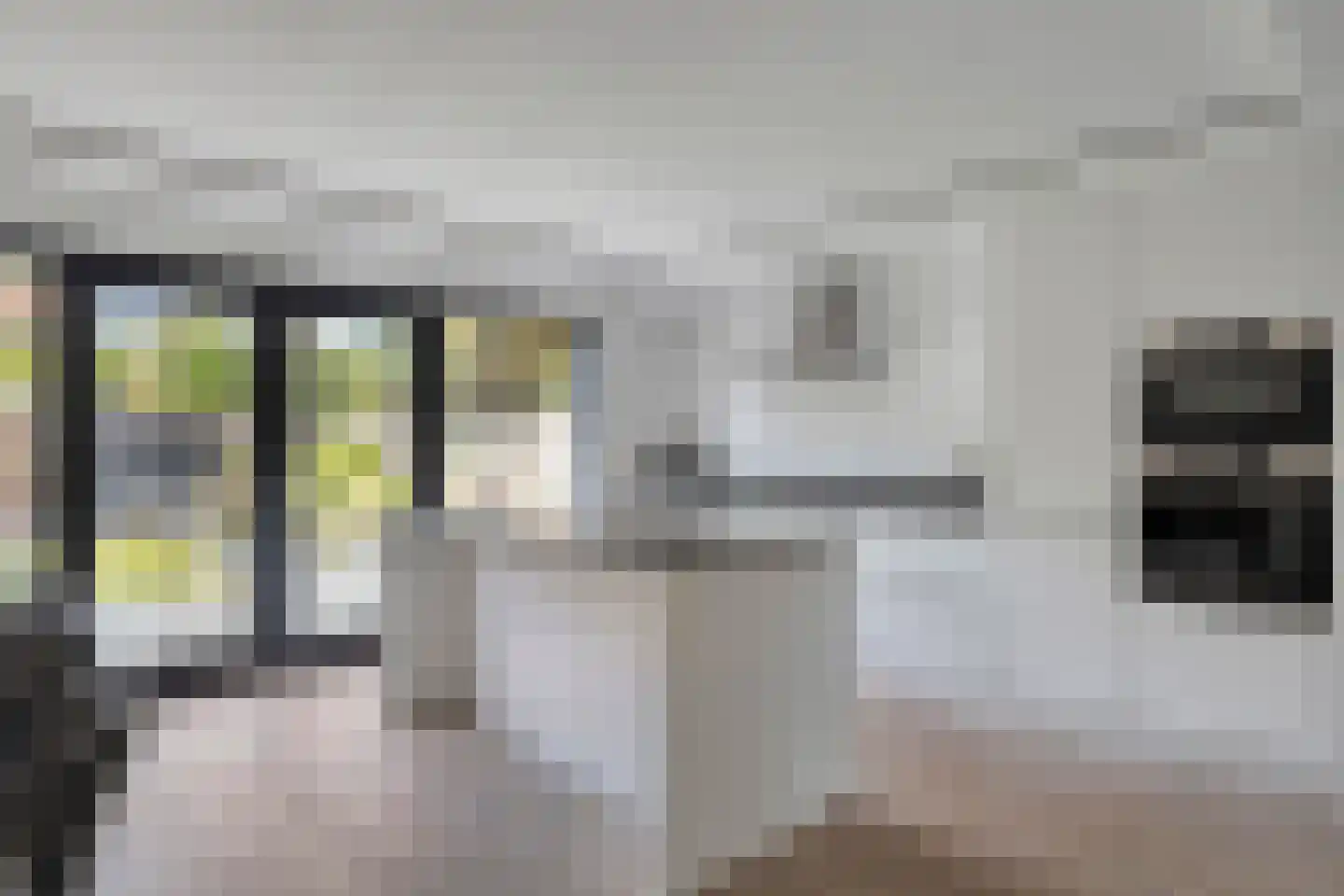 Hafkenscheidtlaan 36 De Zilk foto 3