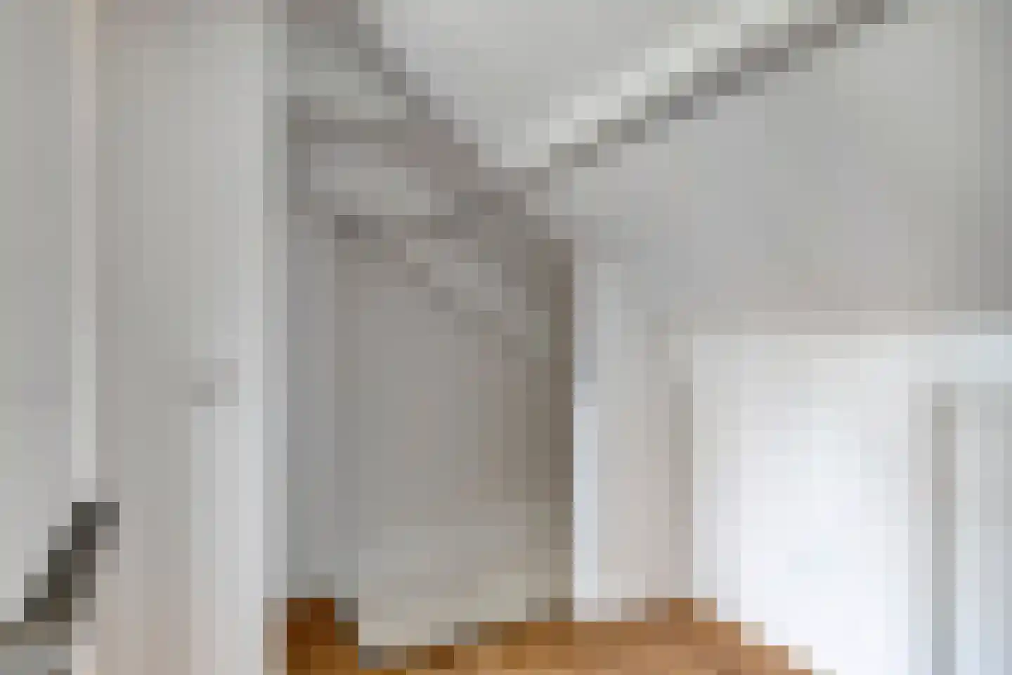 Hafkenscheidtlaan 36 De Zilk thumbnail 33