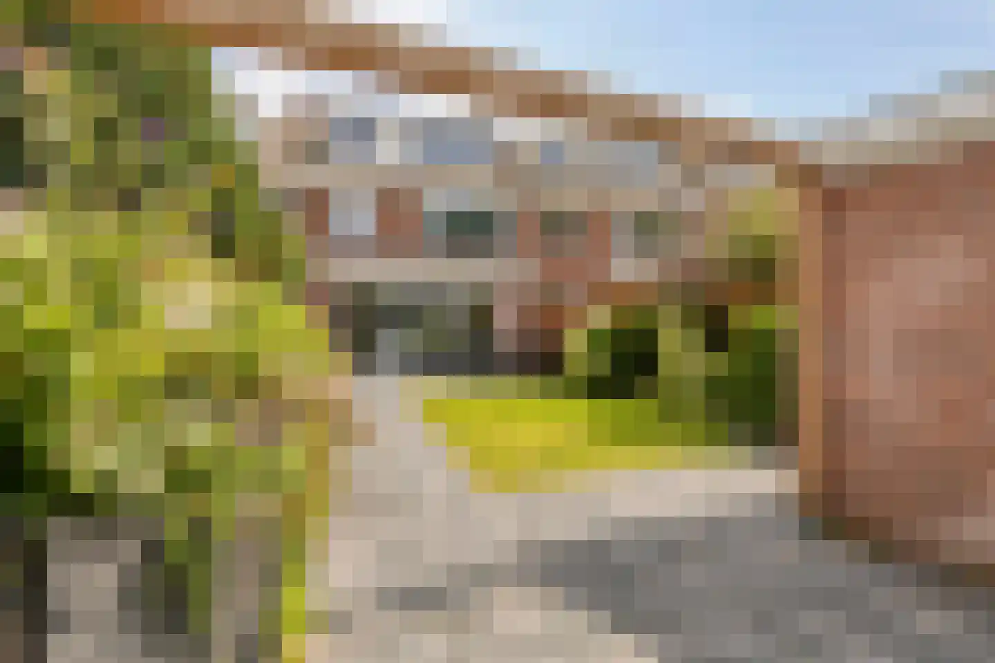 Hafkenscheidtlaan 36 De Zilk thumbnail 41