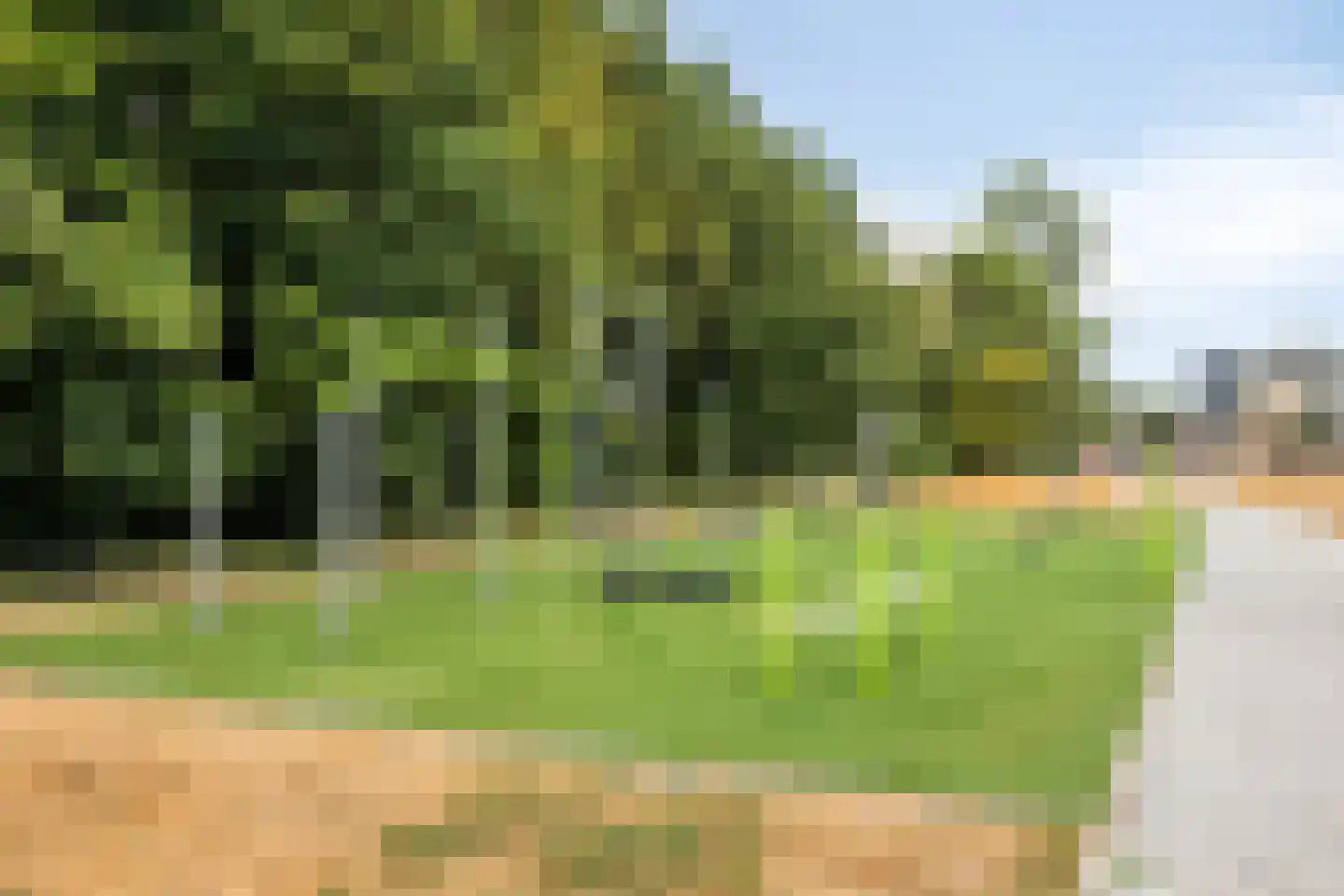 Hafkenscheidtlaan 36 De Zilk thumbnail 46
