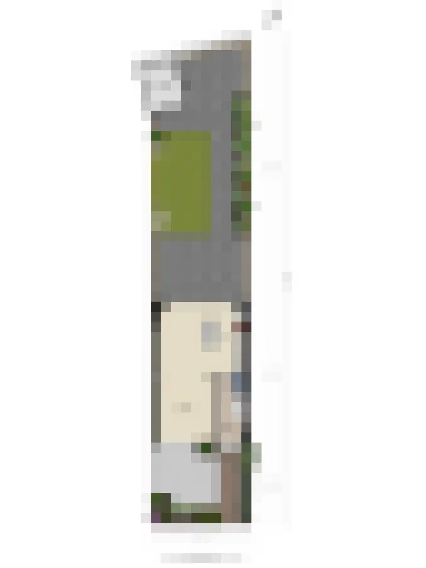 Hafkenscheidtlaan 36 De Zilk thumbnail 48