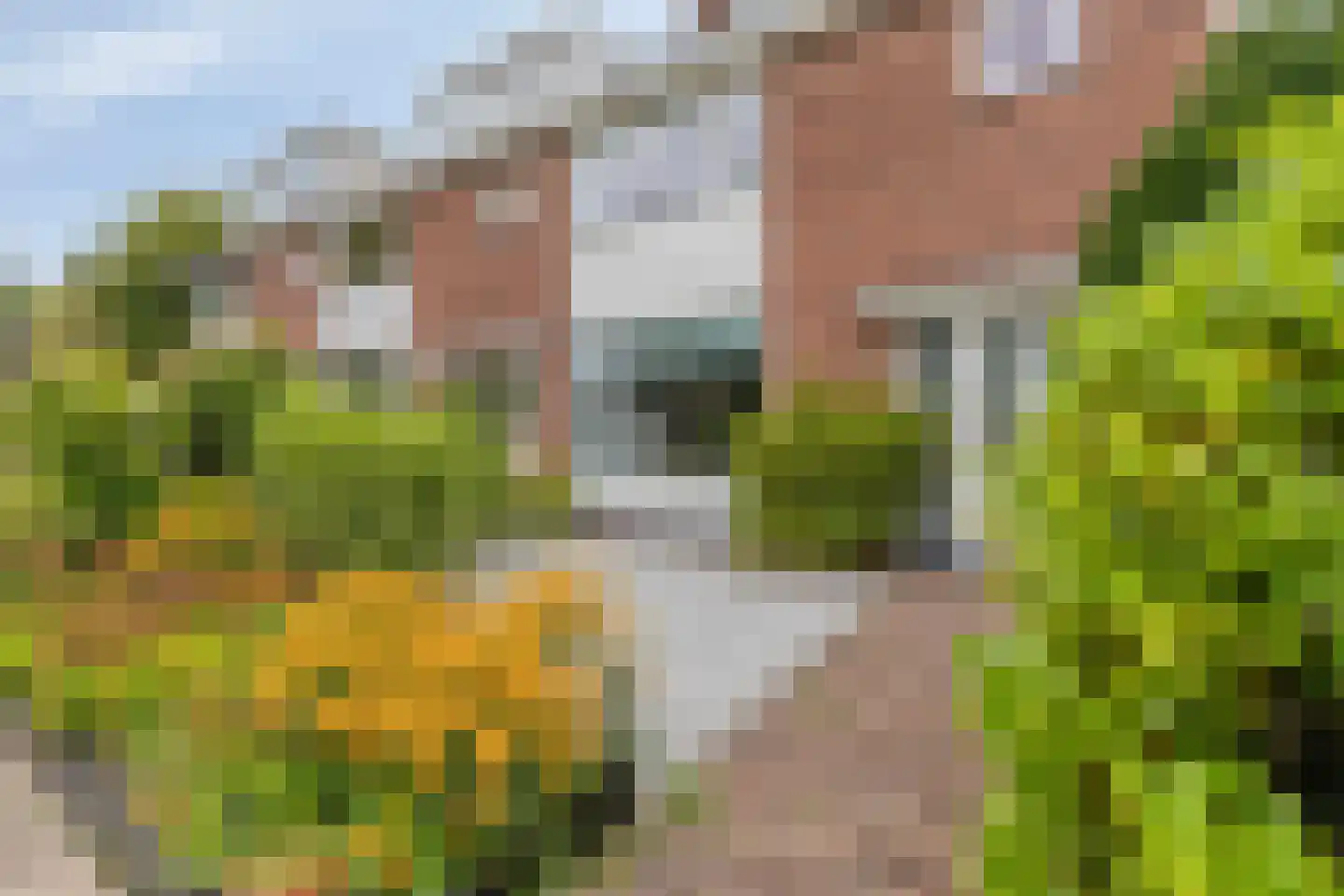 Hafkenscheidtlaan 36 De Zilk thumbnail 7