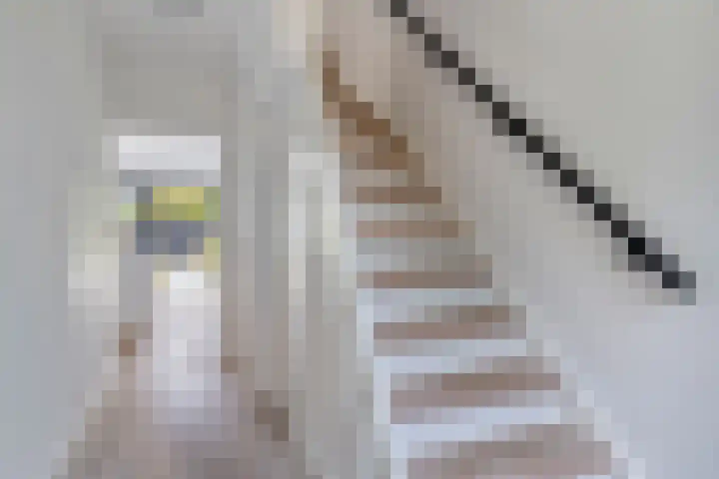 Hafkenscheidtlaan 36 De Zilk thumbnail 9