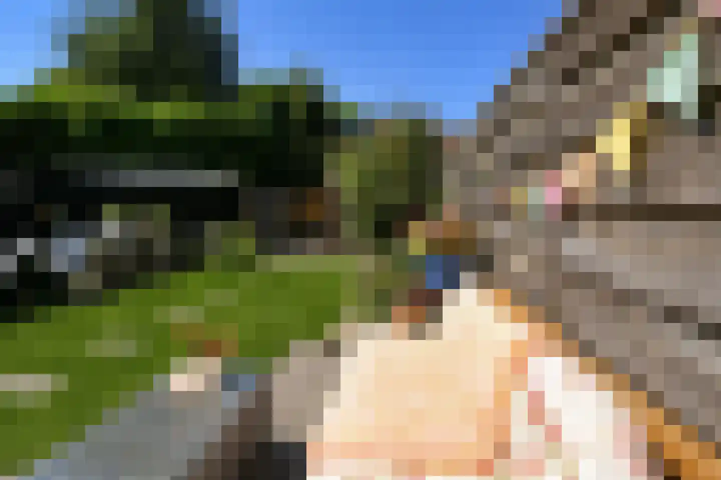 Hafkenscheidtlaan 38 De Zilk thumbnail 18