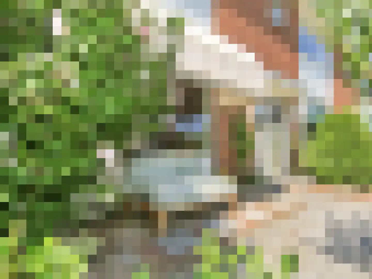 Hafkenscheidtlaan 38 De Zilk thumbnail 39