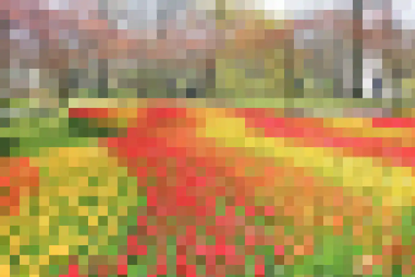 Hafkenscheidtlaan 38 De Zilk thumbnail 44