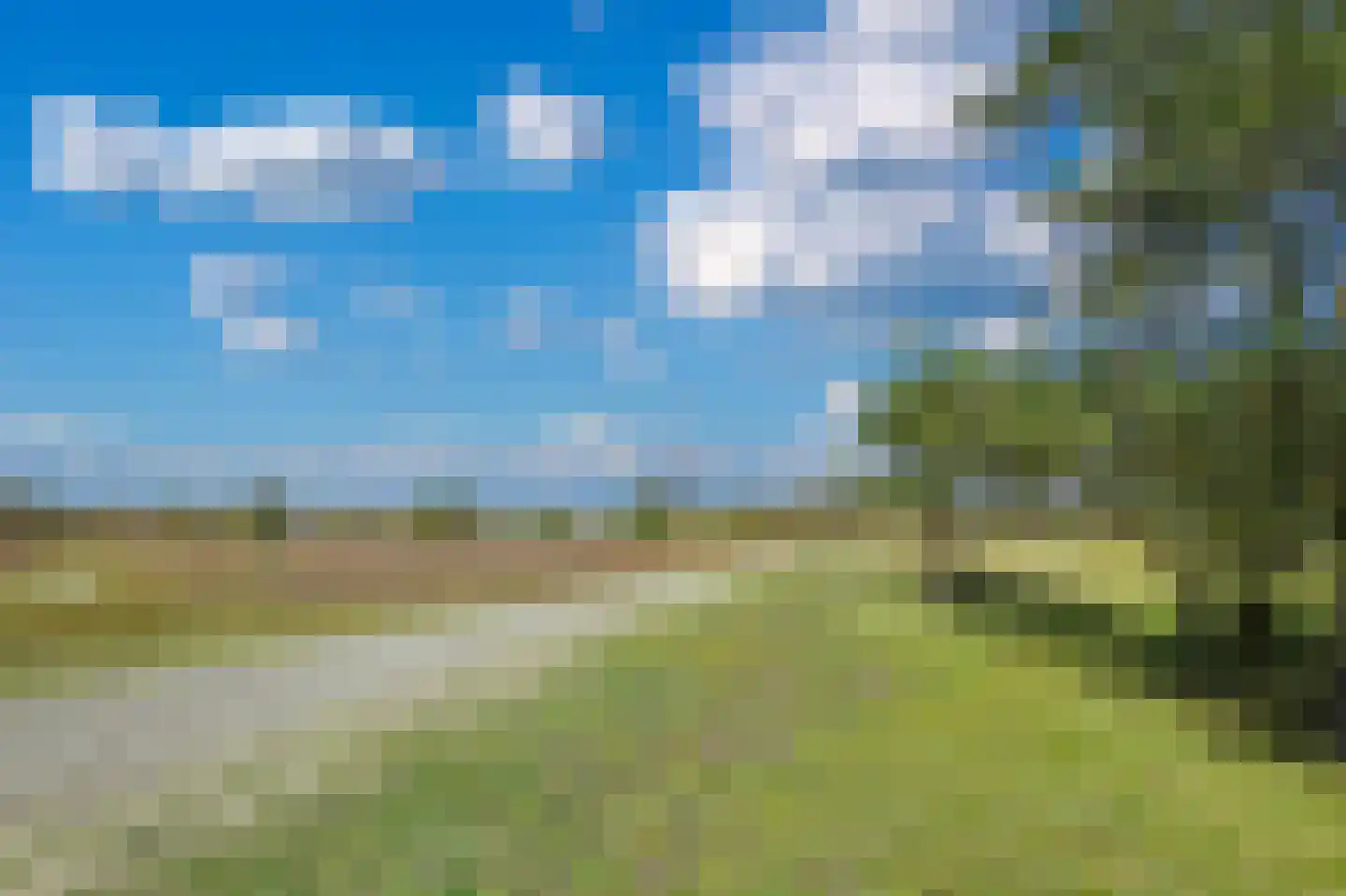 Hafkenscheidtlaan 38 De Zilk thumbnail 46