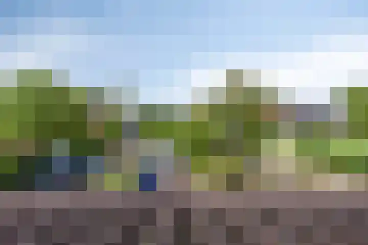 Hage Weer 26 E Broek in Waterland thumbnail 34