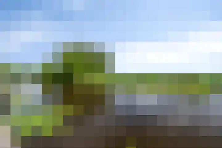 Hage Weer 26 E Broek in Waterland thumbnail 36