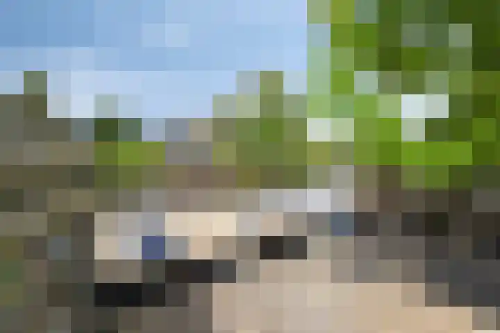 Hage Weer 26 E Broek in Waterland thumbnail 5