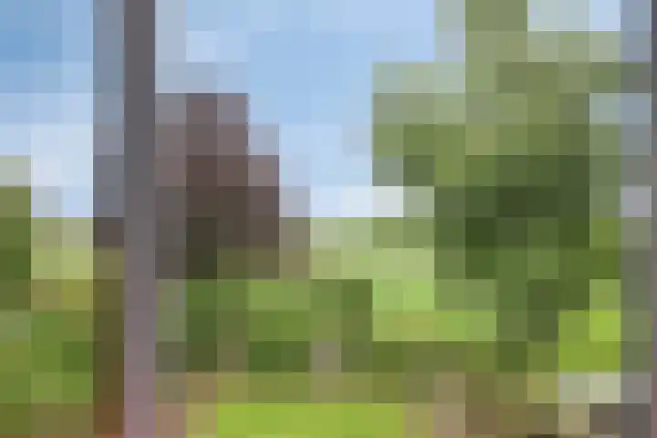 Hage Weer 39 Broek in Waterland thumbnail 36