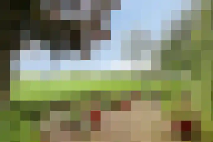 Hage Weer 39 Broek in Waterland thumbnail 45