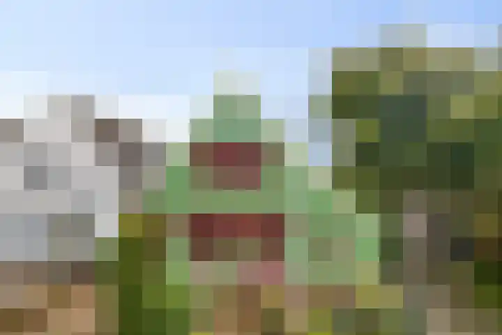 Hage Weer 39 Broek in Waterland thumbnail 46