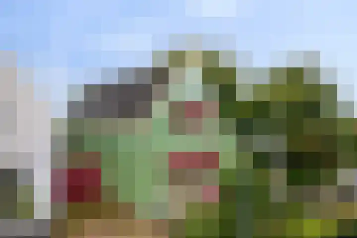 Hage Weer 39 Broek in Waterland thumbnail 47