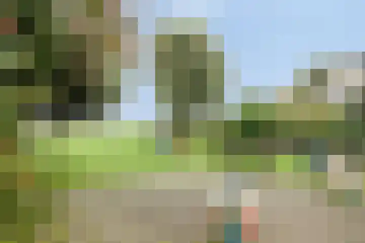 Hage Weer 39 Broek in Waterland thumbnail 48
