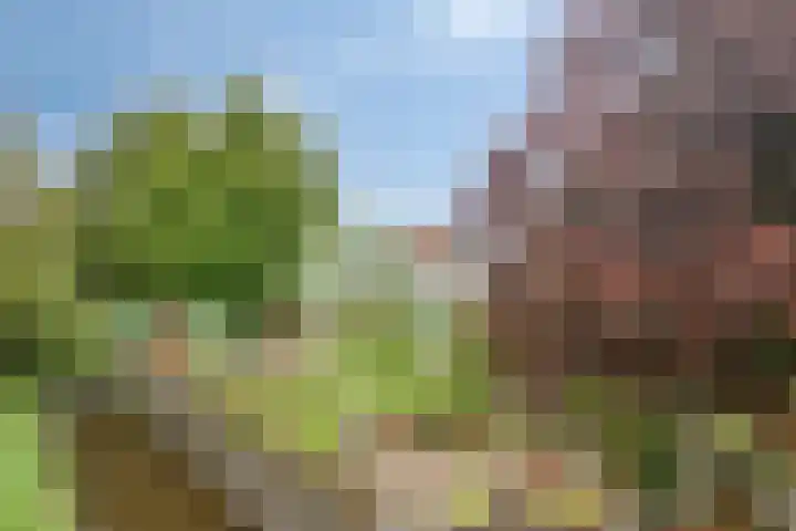 Hage Weer 39 Broek in Waterland thumbnail 6