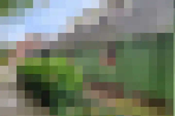 Hage Weer 39 Broek in Waterland thumbnail 8