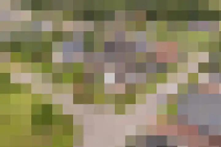 Hagebeam 5 Sweagerbosk thumbnail 10