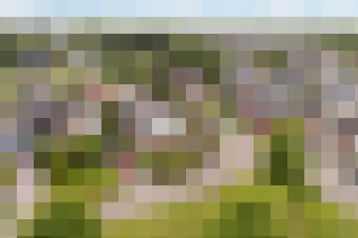 Hagebeam 5 Sweagerbosk thumbnail 12