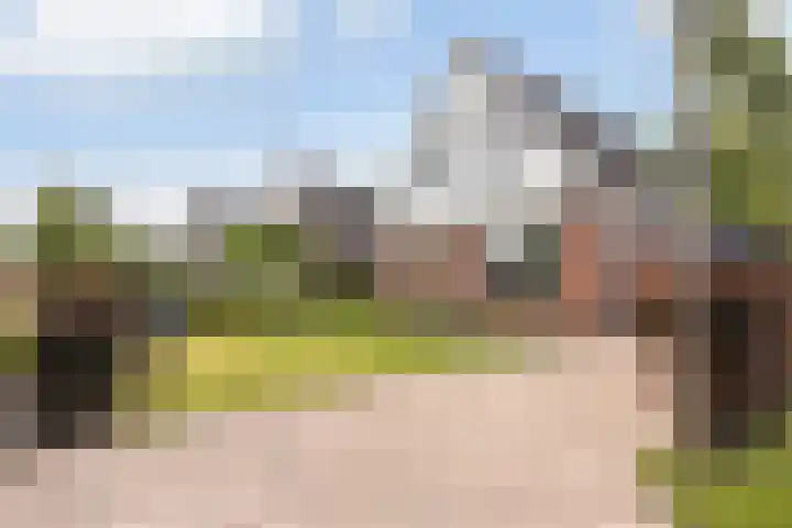 Hagebeam 5 Sweagerbosk thumbnail 15