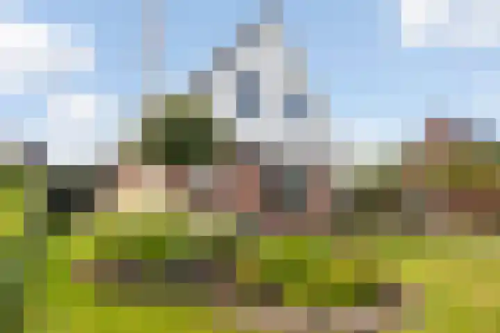 Hagebeam 5 Sweagerbosk thumbnail 16