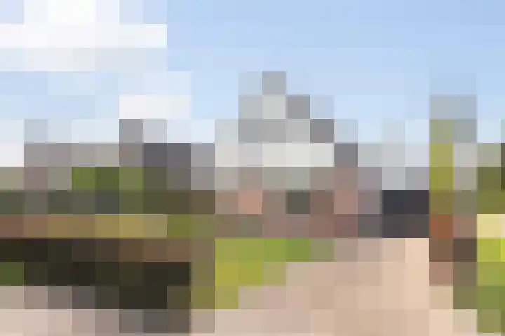 Hagebeam 5 Sweagerbosk thumbnail 17