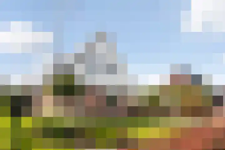 Hagebeam 5 Sweagerbosk thumbnail 18