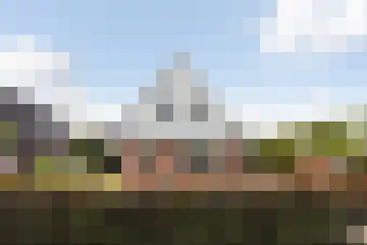 Hagebeam 5 Sweagerbosk thumbnail 20
