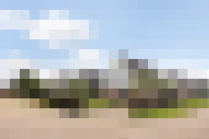 Hagebeam 5 Sweagerbosk thumbnail 21