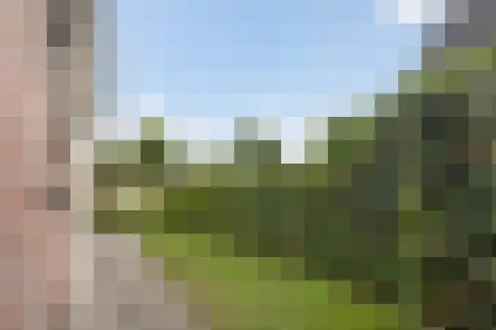 Hagebeam 5 Sweagerbosk thumbnail 22
