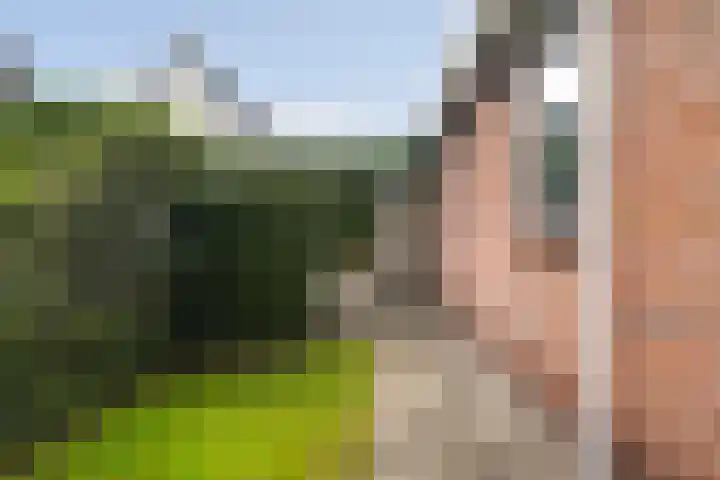Hagebeam 5 Sweagerbosk thumbnail 23