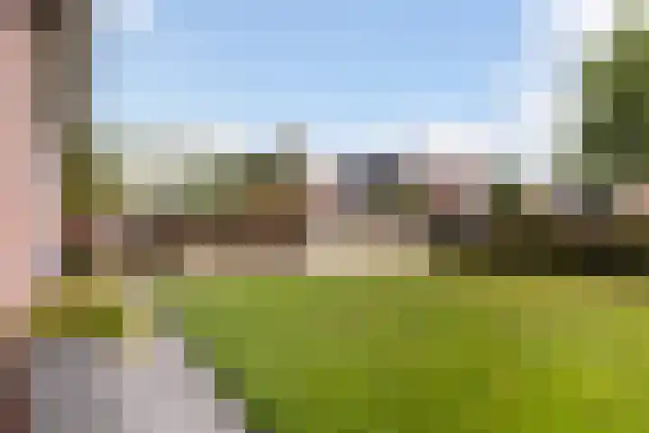 Hagebeam 5 Sweagerbosk thumbnail 24