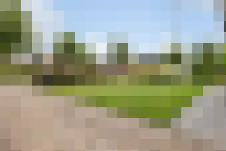 Hagebeam 5 Sweagerbosk thumbnail 26