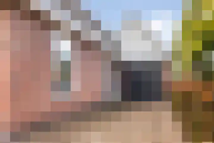 Hagebeam 5 Sweagerbosk thumbnail 27