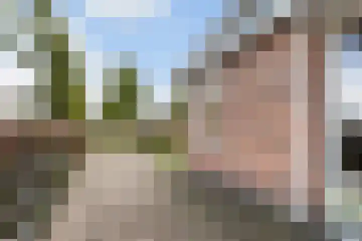 Hagebeam 5 Sweagerbosk thumbnail 30