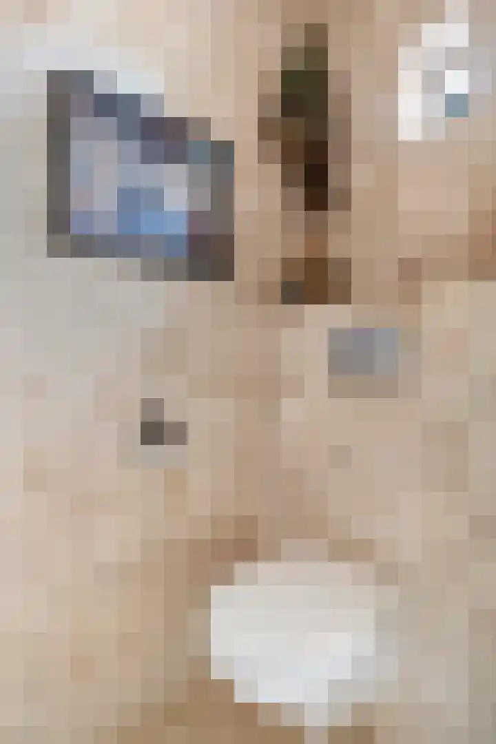Hagebeam 5 Sweagerbosk thumbnail 33