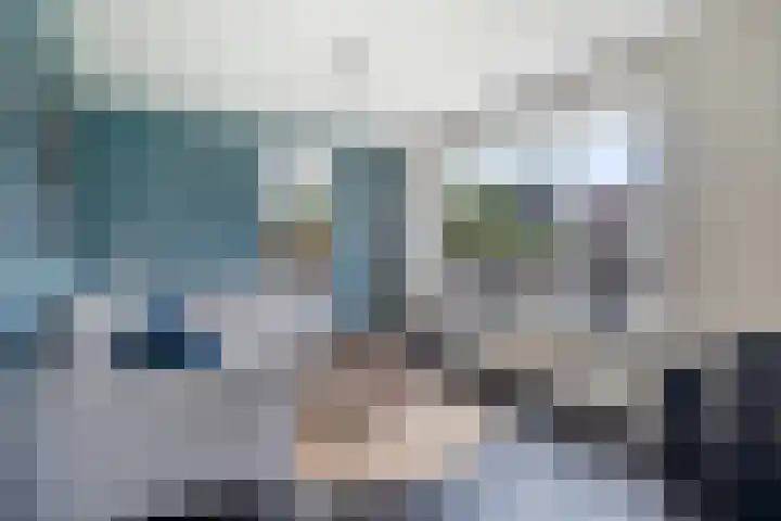 Hagebeam 5 Sweagerbosk thumbnail 37