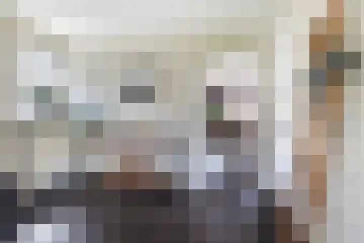Hagebeam 5 Sweagerbosk thumbnail 41
