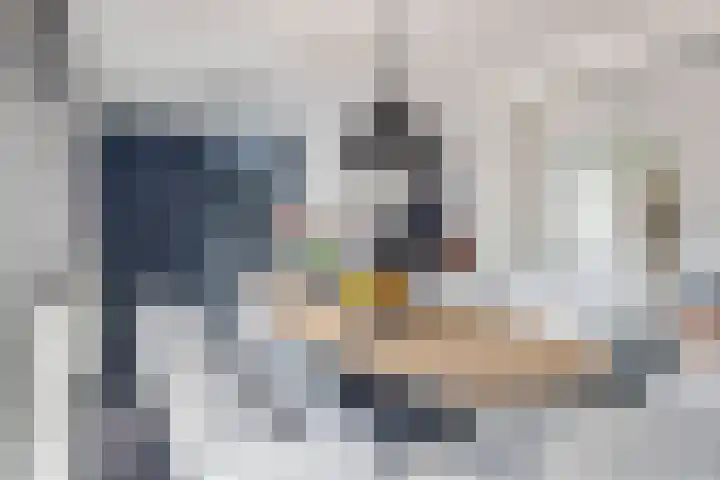 Hagebeam 5 Sweagerbosk thumbnail 44