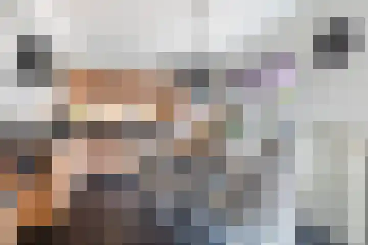 Hagebeam 5 Sweagerbosk thumbnail 46