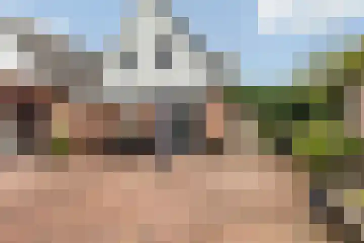 Hagebeam 5 Sweagerbosk thumbnail 47