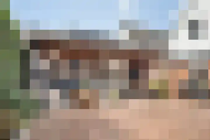Hagebeam 5 Sweagerbosk thumbnail 48