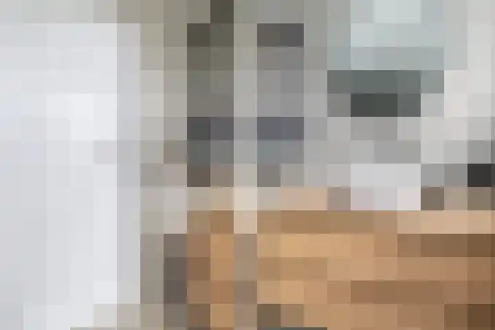 Hagebeam 5 Sweagerbosk thumbnail 5