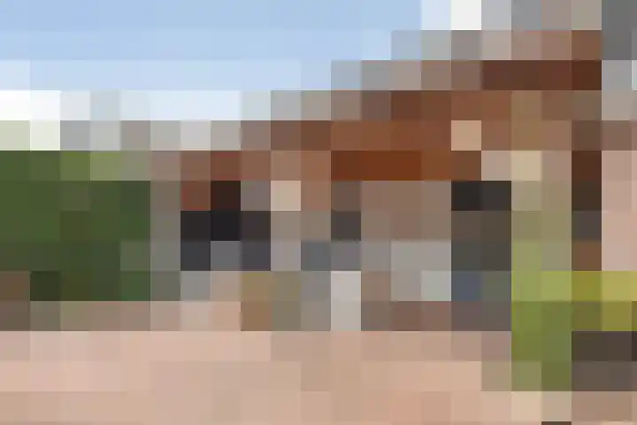 Hagebeam 5 Sweagerbosk thumbnail 50