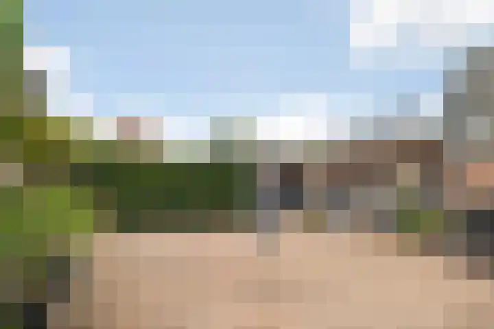 Hagebeam 5 Sweagerbosk thumbnail 51