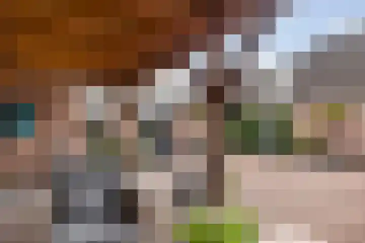 Hagebeam 5 Sweagerbosk thumbnail 53
