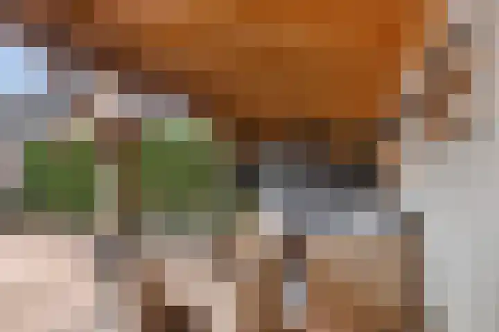 Hagebeam 5 Sweagerbosk thumbnail 54