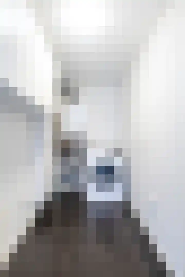 Hagebeam 5 Sweagerbosk thumbnail 55