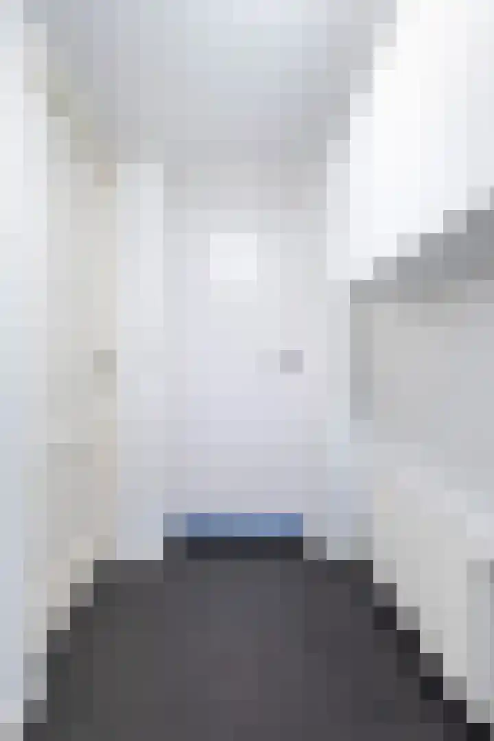 Hagebeam 5 Sweagerbosk thumbnail 57
